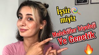 Moleküler biyoloji ve genetik okumak iş imkanları amp Dersler zor mu Akademik kariyer [upl. by Keisling887]