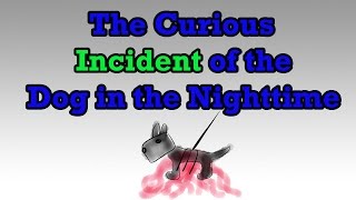 The Curious Incident of the Dog in the Nighttime by Mark Haddon Book Summary  Minute Book Report [upl. by Ezra]