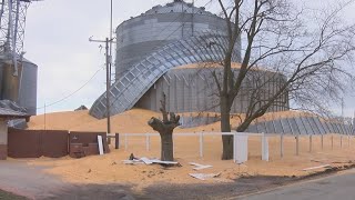 Collapsed grain bin cleanup continues in Arcola [upl. by Xylon775]