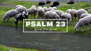 Psalm 23 Word For Word Lyric Video • ESV Scripture Song [upl. by Bertasi144]