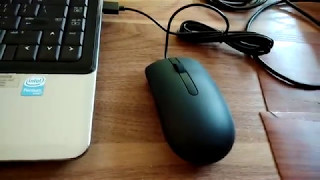 DELL Optical Mouse MS116  very smooth to use [upl. by Nedaj]