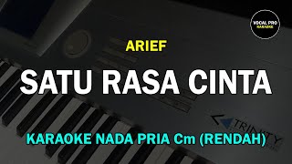 SATU RASA CINTA KARAOKE PRIACOWOK NADA RENDAH [upl. by Weaver662]