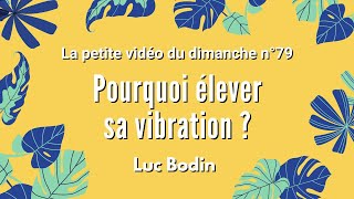 POURQUOI ÉLEVER SA VIBRATION  La petite vidéo du dimanche n°79 [upl. by Marlena]