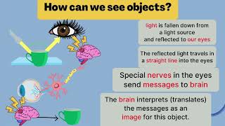 Concept 3 part 2 primary 4 light reactiontypes of materials how we seehumans ampanimals communicate [upl. by Iaka770]