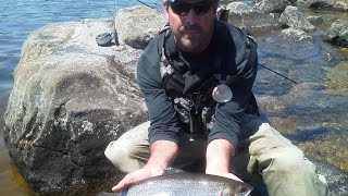 Maine Brook Trout II [upl. by Aznofla]