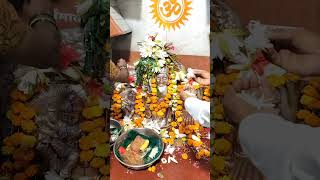 श्री हिंदुस्तानी दुर्गादेवी मंदिर यवतमाळ vlog yavatmal durga navratri yavatmal navratri 2024 [upl. by Sucitivel]