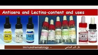 Lecture 110 Antisera and Lectins–content and uses [upl. by Teyut]