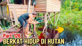 Kehidupan Seharihari di Tengah Hutan Menikmati Berkat di Pondok Ulu Sungai  Part 126 [upl. by Colleen]