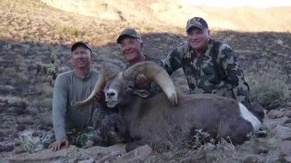 201516 Arizona Big Game Super Raffle Desert Bighorn Sheep Hunt [upl. by Hcib]