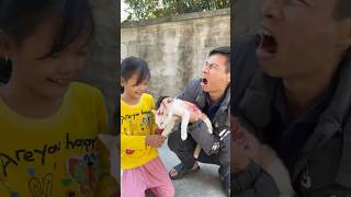 Injured kitten makes baby cry and no one helps cat love cat labubupets [upl. by Aelyk235]