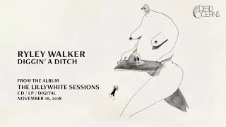 Ryley Walker  Diggin A Ditch Official Audio [upl. by Adnamas]