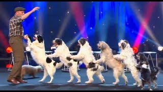 Wolfgang Lauenburger  Dressage de Chiens  Le Plus Grand Cabaret Du Monde [upl. by Einra]