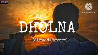 DHOLNA Full Song SlowedReverb Song 2024 [upl. by Ahsrav]