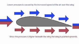 Bernoullis Principle [upl. by Yaras235]