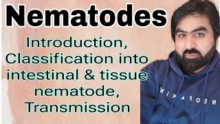 Lec23  Introduction to Nematode  Intestinal nematode  Tissue neamtode  Transmission  UrduHindi [upl. by Razaele95]