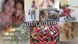 vlog στη γιαγιά  σχολείο  λίγο supermarket  φαγάκιι ψάρι με σέλινο πατάτες καρότο  βάφω μαλλιά [upl. by Linnette]