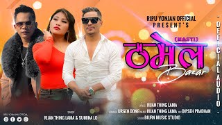 Thamel BazarMasti  Rijan Thing Lama amp Sumina Lo  Urgen Dong  New Nepali Song  Disco Song [upl. by Ihskaneem]