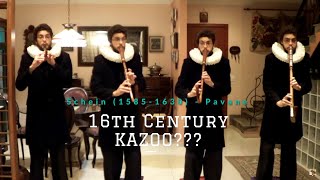 Kazoo Schein Padouane Pavane Crumhorn Krummhorn Cromorne [upl. by Tirrej]