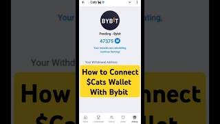 Cats Wallet Connect  Cats connect Bybit wallet  Cats connect wallet  catsairdrop bybit [upl. by Lingwood]