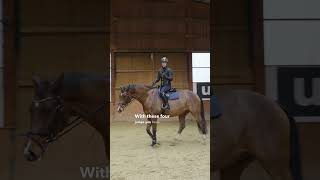 SMALL TRAINING COURSE FOR SHOW JUMPERS horse horsehelp horseenthusiast equestrian horsefeed [upl. by Atteynek]