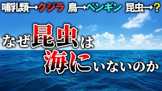 【100年未解決】海に昆虫が1匹もいない理由【ゆっくり解説】【雑学】 [upl. by Eninaej]