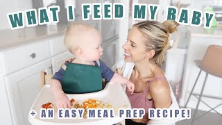 What I Feed My Baby from Breakfast to Dinner  EASY Meal Prep Recipe  A Full Day of Meals [upl. by Werra144]