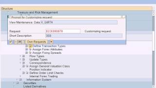 SAP Treasury and Risk Management  Define Transaction Types for Foreign Exchange [upl. by Samled267]