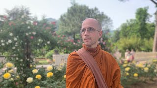 Iddhipada The four bases of power with Bhante Suddhaso [upl. by Feeley417]