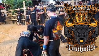 KALAPAN Satrio Waringin jati 🔥TIMBULLS [upl. by Enaej]