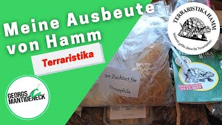 Meine Ausbeute von der 75 Terraristika in Hamm 2019 September [upl. by Anaylil]