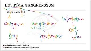 3 11 ecthyma gangrenosum mp4  Dermatology [upl. by Rialb]