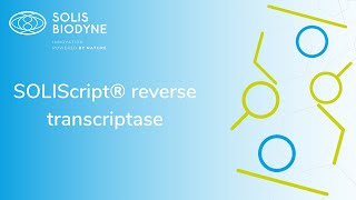 SOLIScript® reverse transcriptase [upl. by Ahsote]