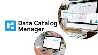 Digital StoreMesh  Data Catalog Manager [upl. by Lladnek]