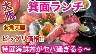 【大阪箕面海鮮めし】箕面の人気行列店でお刺身が美味過ぎるランチです〜♬ [upl. by Normak]