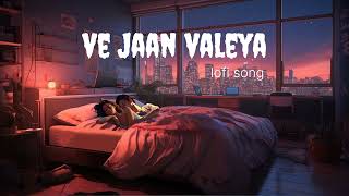 Ve Jaan Valeya  Lofi Song  Falak Shabir Sahab srlofi71 [upl. by Tnahsin976]