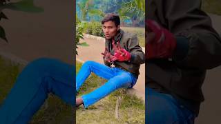 बजता बड़ी सुपर Gori ho duno buffar Singer golua jagwa shorts Pramod premi song [upl. by Aikat]