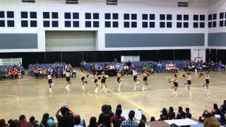 Hidalgo Early College High School Golden Dazzlers Team Pom at ADTS 2015 [upl. by Alad]