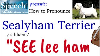 How to Pronounce Sealyham Terrier [upl. by Lancaster225]