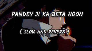 Pandey ji ka beta hoon bhojpuri song slow and reverb bhojpuri slowedandreverb [upl. by Acirret]