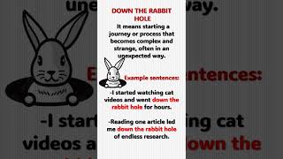 Idiom DOWN THE RABBIT HOLE [upl. by Mcevoy]