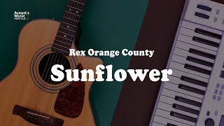 Rex Orange County  Sunflower Acoustic Guitar Karaoke and Lyric [upl. by Hemetaf]