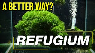 Today’s Refugium Techniques 10 Questions to Guarantee a Controllable Clean High Performance Fuge [upl. by Lowenstern]