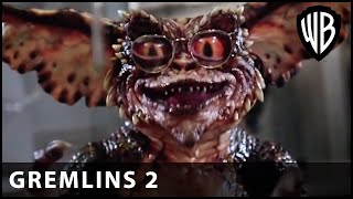 Gremlins Drink the Brain Hormone  Gremlins 2 The New Batch  Warner Bros UK [upl. by Emmalyn]