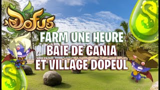 DOFUS Farm UNE HEURE la Baie de Cania amp VillageMine Dopeul  Plaines de Cania  5 [upl. by Lorri]