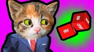 ROLLING THE DICE Politicats 3 [upl. by Harrat183]