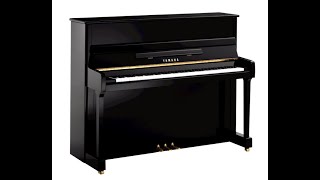 Yamaha P116 neu  MUSIKEBERT [upl. by Enilkcaj]