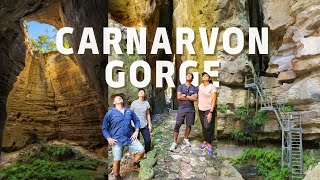 Hiking CARNARVON GORGE Queenslands OUTBACK OASIS  Moss Garden  Wards Canyon  Boolimba Bluff [upl. by Revlis]