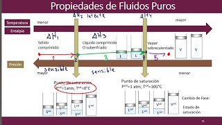 ∆Entalpía Hielo ➜ Vapor 🧊 💨 Ruta Hipotética [upl. by Reiner729]