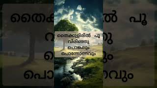 Thamburu kulir choidiyo Malayalam melody poovu song Malayalam [upl. by Yecrad350]