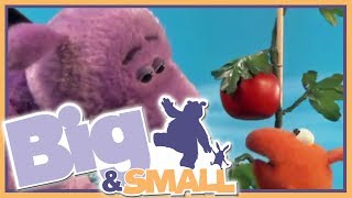 Big and Small  episodio 19  Passata di pomodoro [upl. by Holladay]